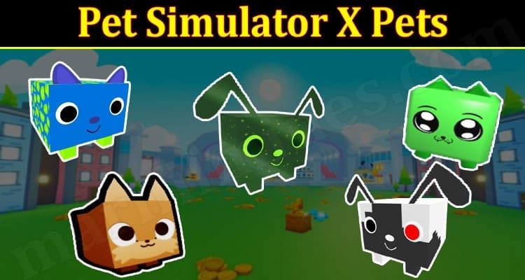 Pet Simulator X Codes - JixPlay